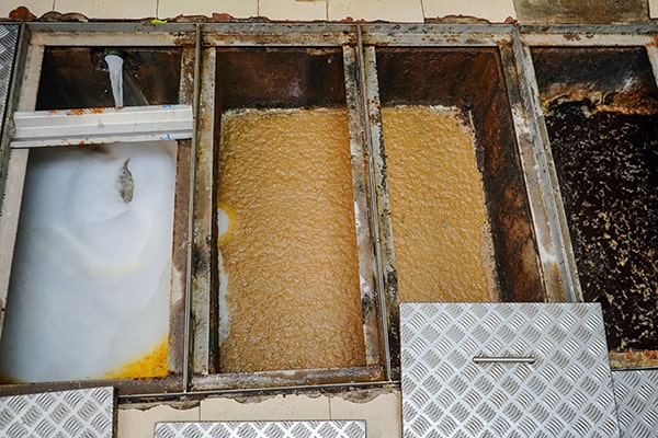 neglecting grease trap maintenance can lead to costly plumbing repairs, health code violations, and potential fines